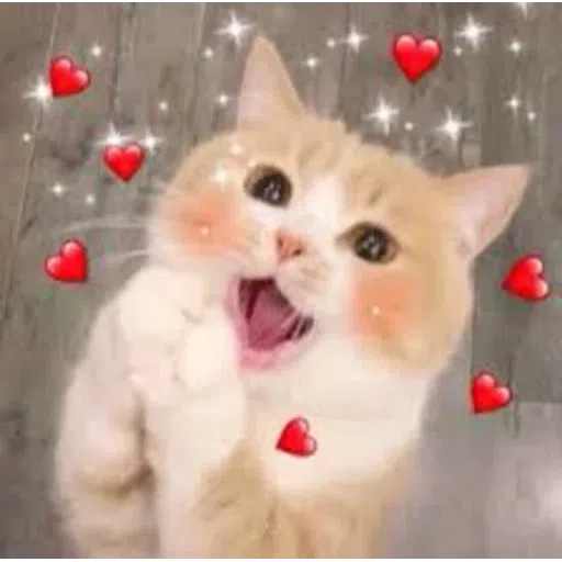 Meow - Sticker 19