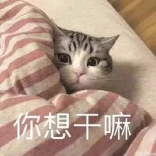 Meow - Sticker 25