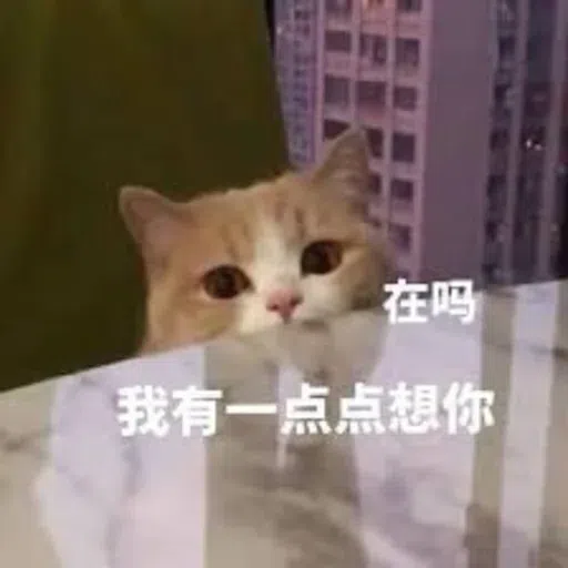 Meow - Sticker 21