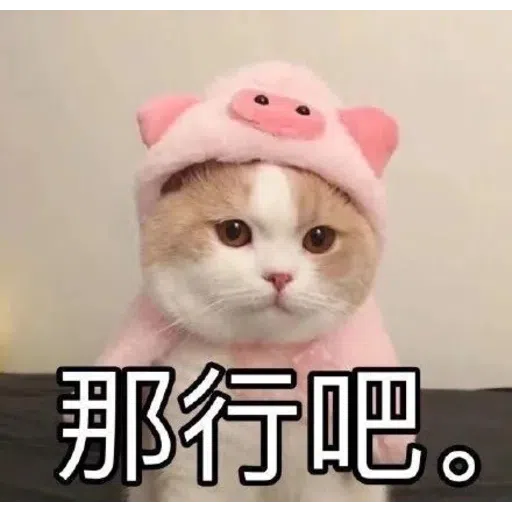 Meow - Sticker 23