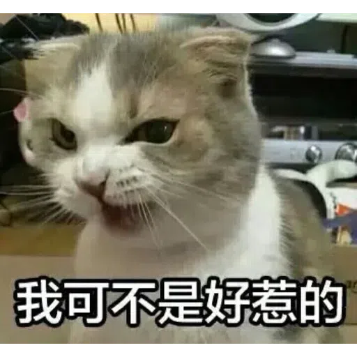 Meow - Sticker 22