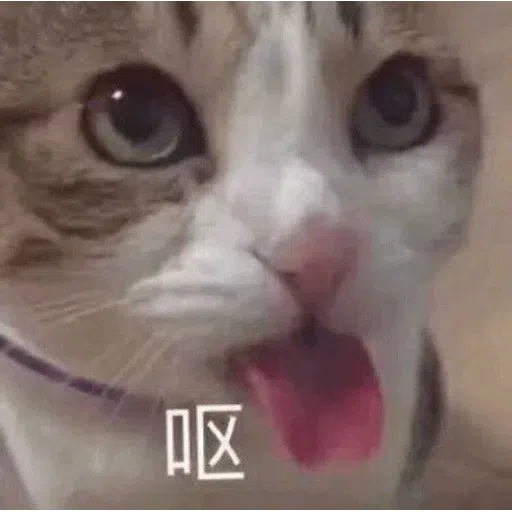 Meow - Sticker 28