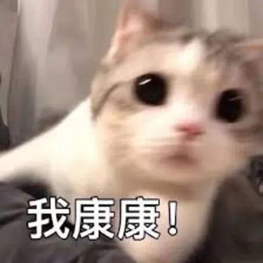 Meow - Sticker 14