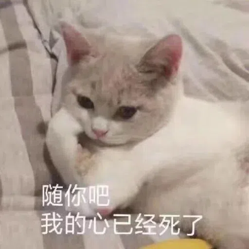 Meow - Sticker 18