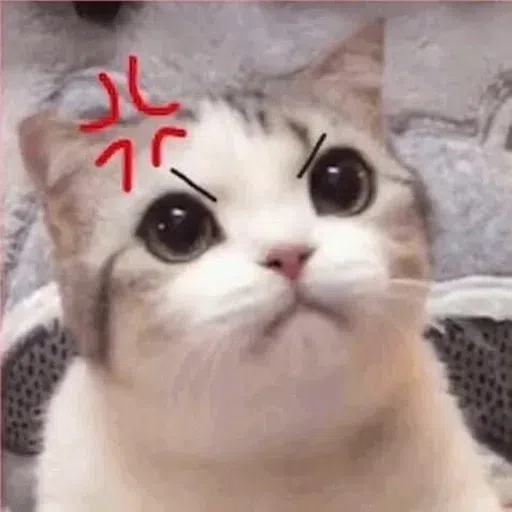 Meow - Sticker 20