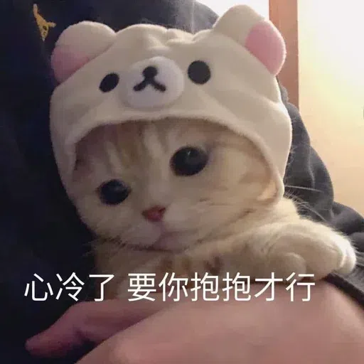 Meow - Sticker 13