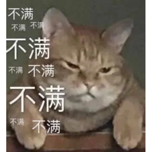 Meow - Sticker 24