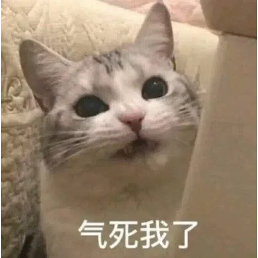 Meow - Sticker 15