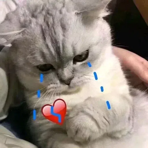 Meow - Sticker 27