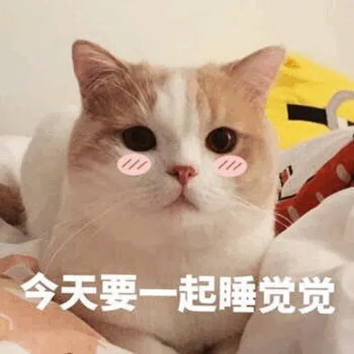 Meow - Sticker 26