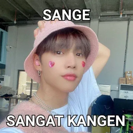 meme - Sticker 22