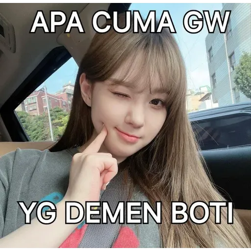 meme - Sticker 29
