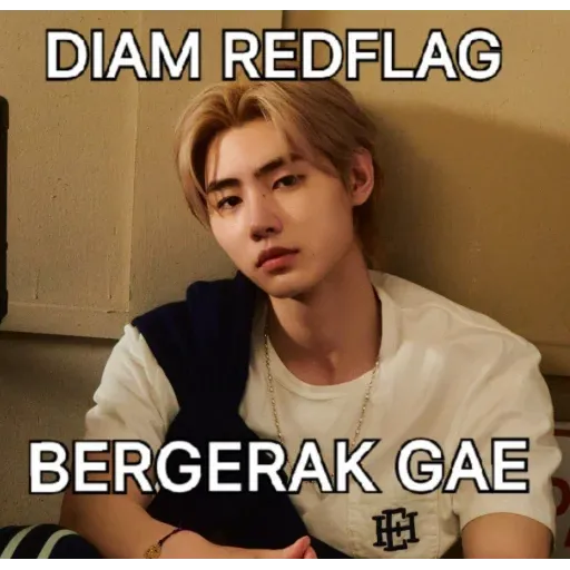 meme - Sticker 24