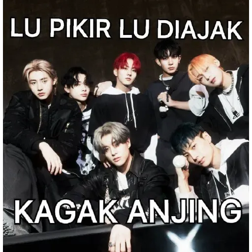 meme - Sticker 14