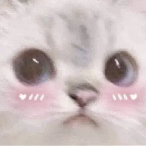 Nay - Sticker 17