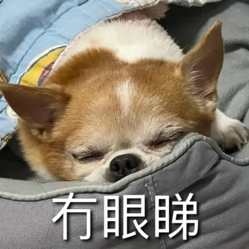D - Sticker 9