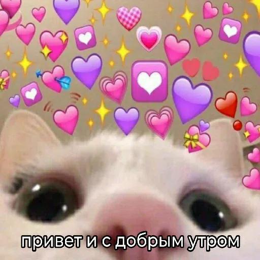 приколдэс - Sticker 30
