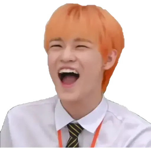 NCT memes - S6 - Sticker 11
