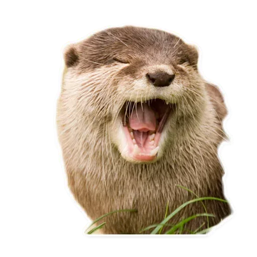 Random - Sticker 26