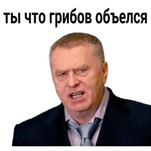 Владимир Вольфович Ж - Sticker 12
