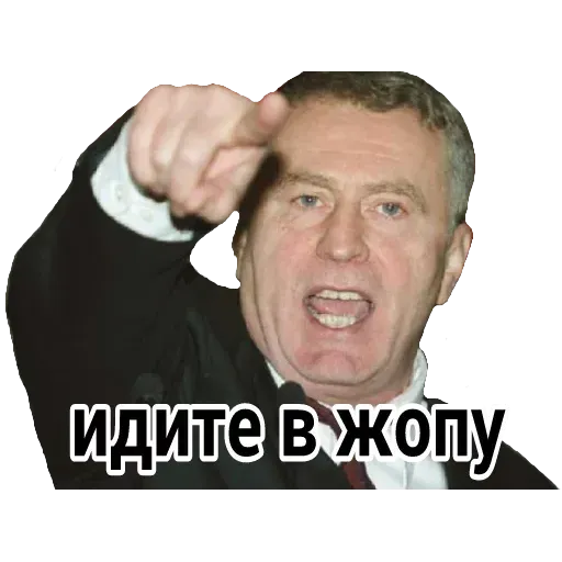 Владимир Вольфович Ж - Sticker 14