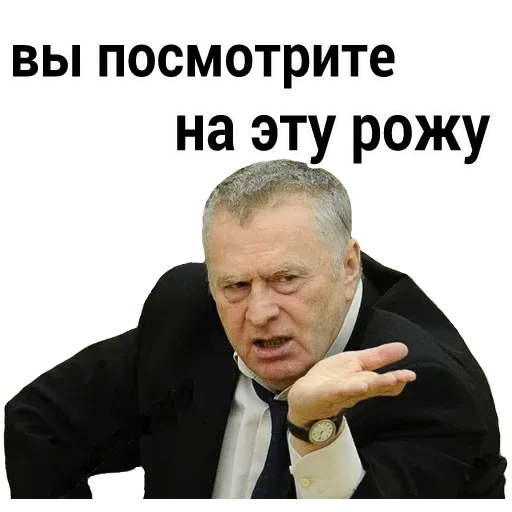 Владимир Вольфович Ж - Sticker 11
