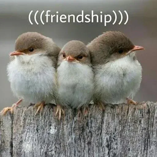 Bird 2 - Sticker 22
