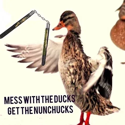 Bird 2 - Sticker 30