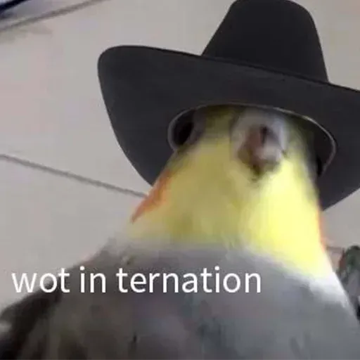 Bird 2 - Sticker 16