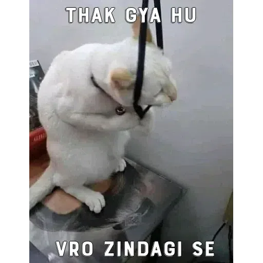 Funny - Sticker 25