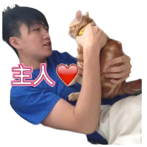 leungtinkei - Sticker 10
