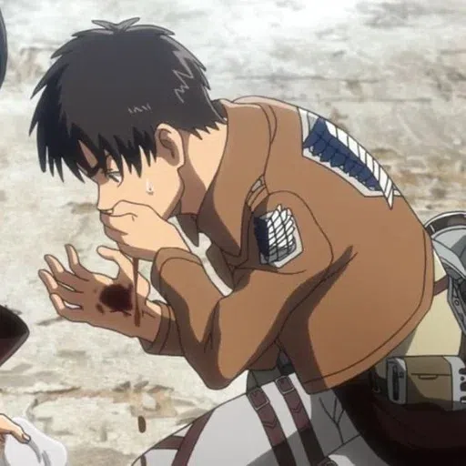 Shingeki no vander - Sticker 27