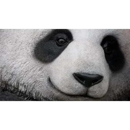 panda - Sticker 11