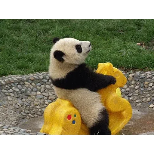 panda - Sticker 14