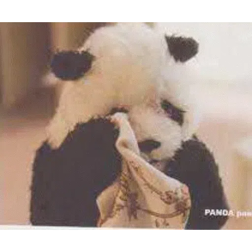panda - Sticker 18