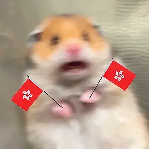 倉你老鼠 - Sticker 9