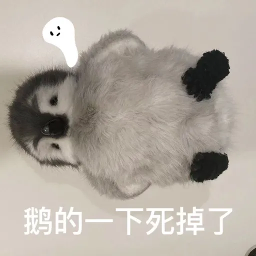 小企鹅🐧 - Sticker 10