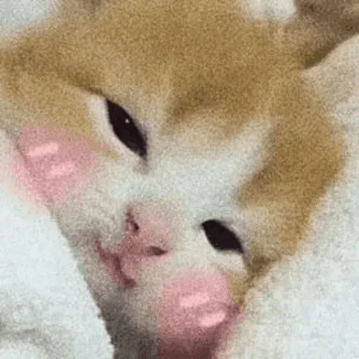 Pishi - Sticker 18