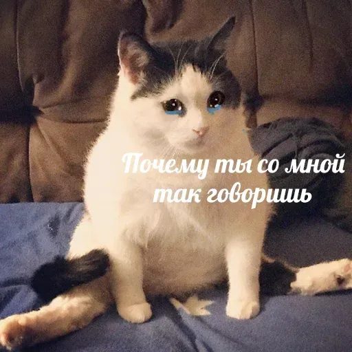 aleshaanimals20203 - Sticker 25