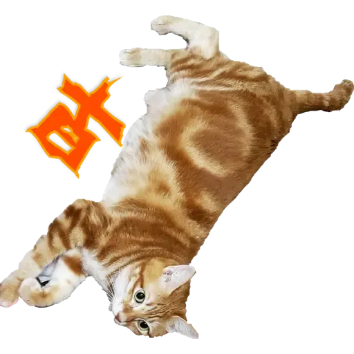 Tora and Kani 3 - Sticker 22