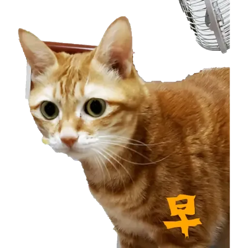 Tora and Kani 3 - Sticker 27
