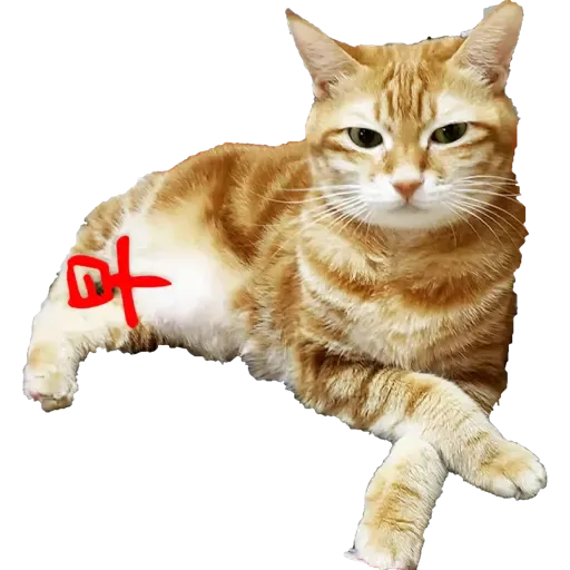 Tora and Kani 3 - Sticker 21