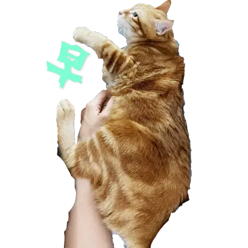 Tora and Kani 3 - Sticker 14