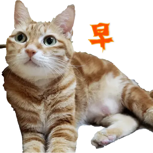 Tora and Kani 3 - Sticker 26