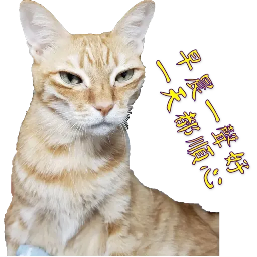 Tora and Kani 3 - Sticker 18