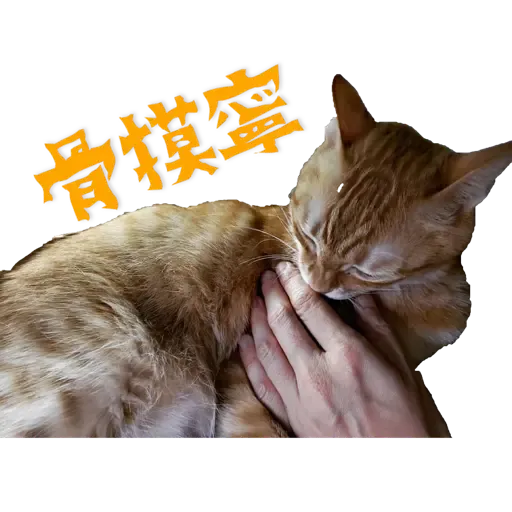 Tora and Kani 3 - Sticker 9