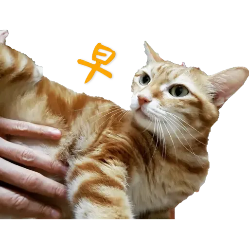 Tora and Kani 3 - Sticker 13