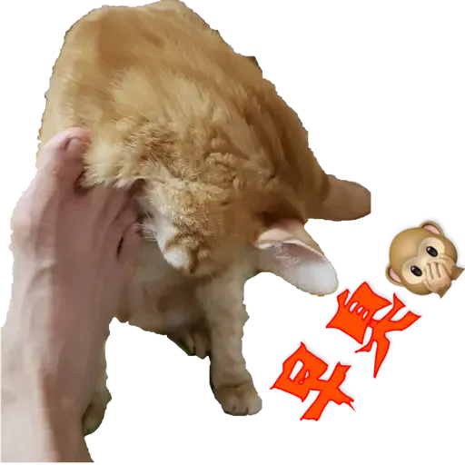 Tora and Kani 3 - Sticker 11
