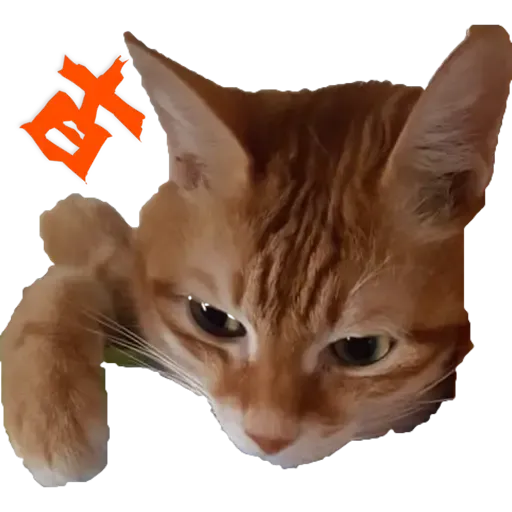 Tora and Kani 3 - Sticker 10