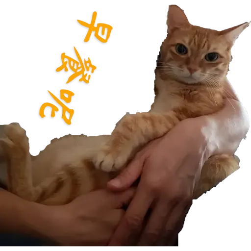 Tora and Kani 3 - Sticker 25
